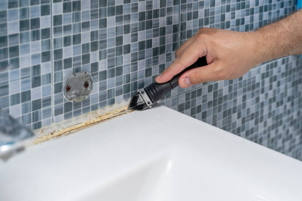 Best Certified Mold Removal  in Snohomish, WA