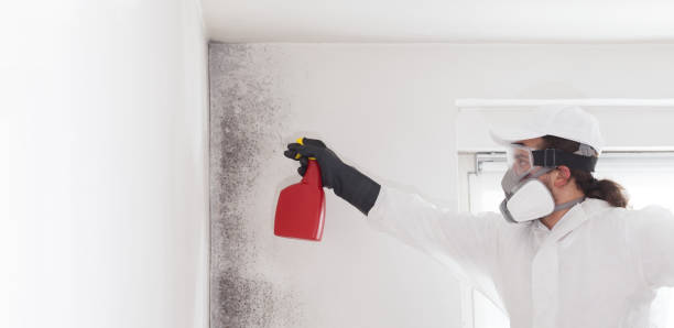 Best Emergency Mold Removal  in Snohomish, WA